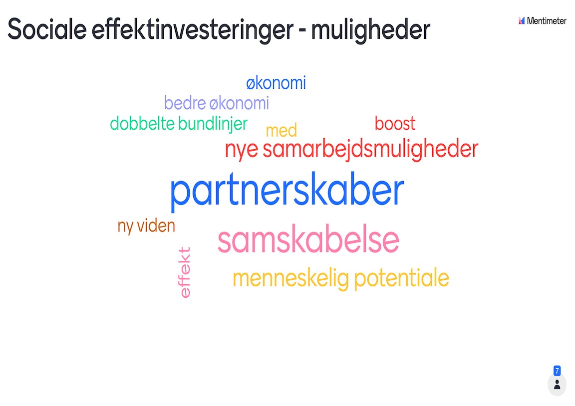 1 Sociale Effektinvesteringer Muligheder