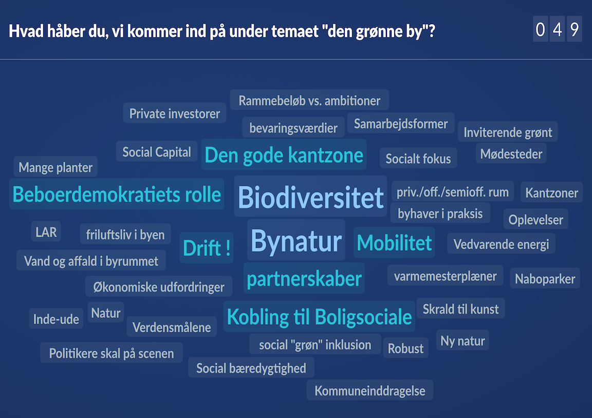 2. Hvad Håber Du, Vi Kommer Ind På Under Temaet Den Grønne By